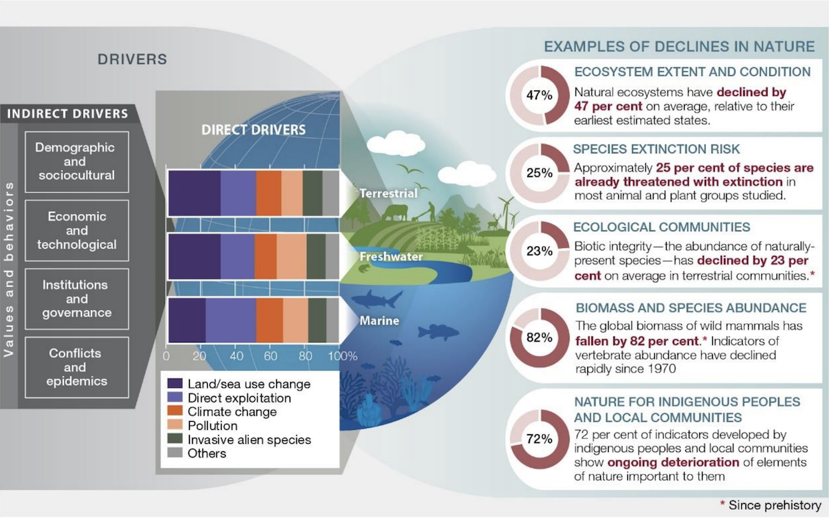 Drivers of Biodiversity Loss